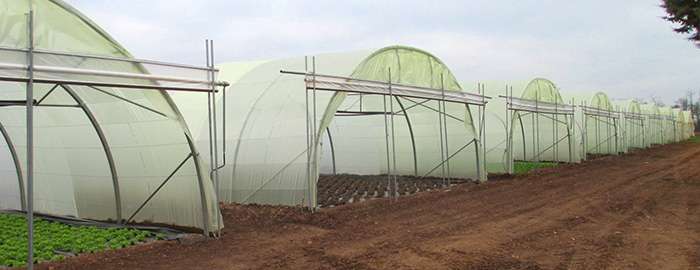 Vegetable production, France, Projet Earl Bois joli, Modèle T8 OV90 ...