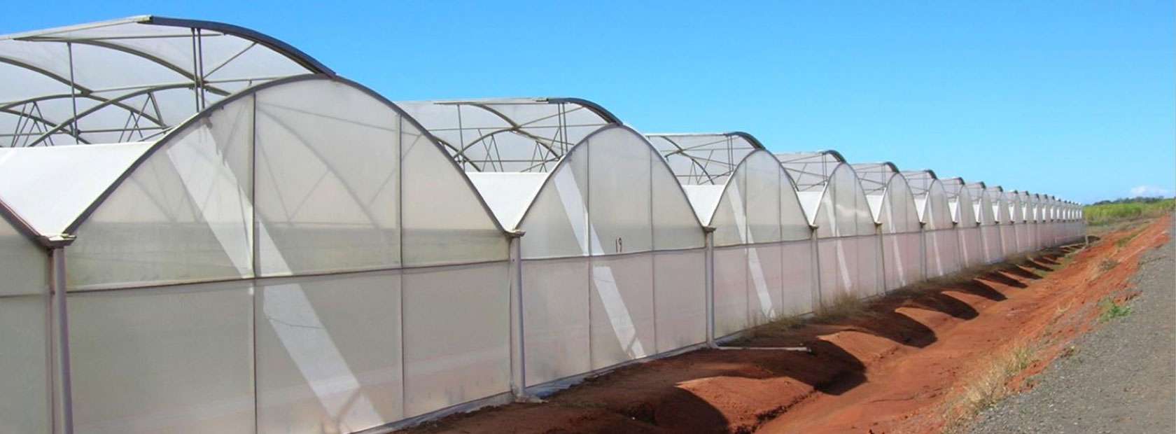 Cucumber production, Eden Farm, Australia, Modèle plastique Richel Group