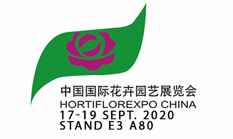 China pboc cryptocurrency september 2020