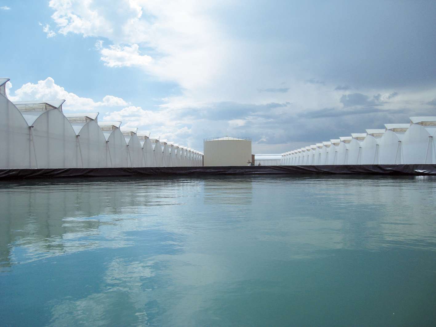 110 hectares of high-tech plastic greenhouses for growing bell peppers ...